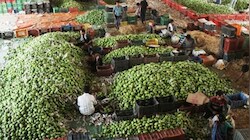 CPI inflation likely to peak at 6.7%-6.8% in November: Report