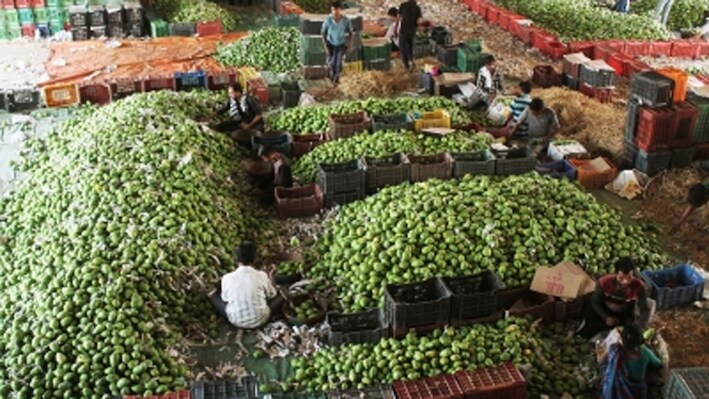CPI inflation likely to peak at 6.7%-6.8% in November: Report