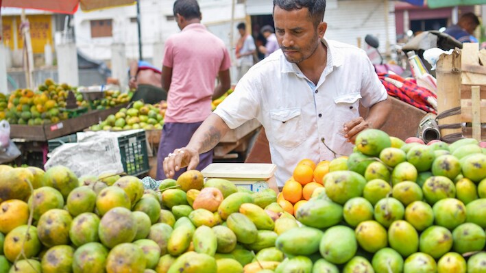 Delhi HC declares Nehru Place District Centre ‘no-hawking’, ‘no-vending’ zone; compliance report due Nov 30