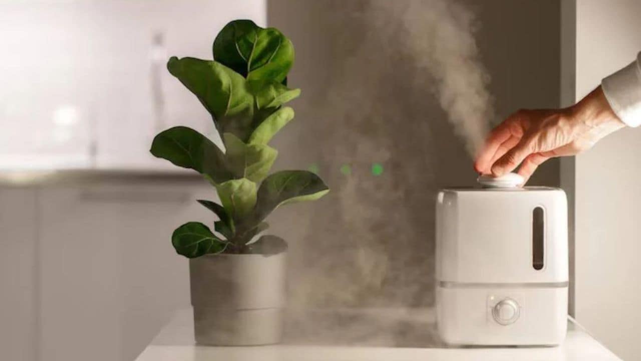 A humidifier
