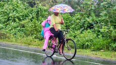 IMD issues heavy rain alert for south India: State-by-state forecast