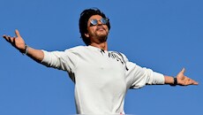 Quote of the day by Shah Rukh Khan, 'Don't waste your energies...'