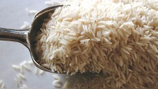 Indian rice companies eye UK, Europe markets for expansion