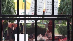 Jamia protest: Why students rejected university order despite union election promise