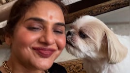 'It breaks my heart, but...': Madhoo urges cracker-free Diwali, recalls childhood memories