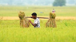 PM-KISAN 24th instalment to be released tomorrow