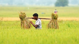 PM-KISAN 24th instalment to be released tomorrow