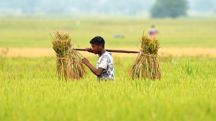 PM-KISAN 24th instalment to be released tomorrow; what time will the money be credited? Check your name in beneficiary list