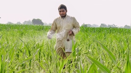 Govt approves MSP on 6 Rabi crops with estimated payout of Rs 90,962 crore