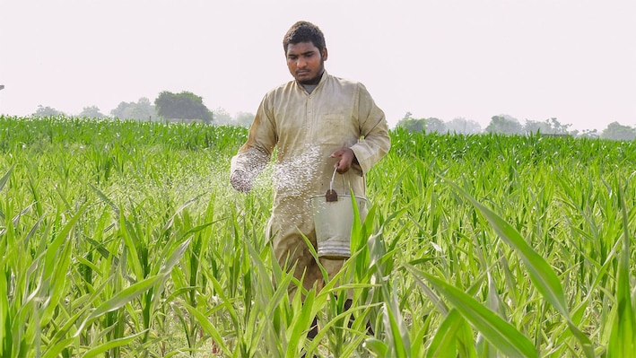 Govt approves MSP on 6 Rabi crops with estimated payout of Rs 90,962 crore