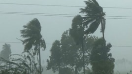 Central teams to reach Andhra Pradesh today to assess cyclone Arnab damage